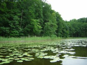 Jezioro jeziorak - ciekawe miejsca w Polsce