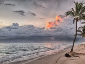 Idealne wakacje na Karaibach – czemu warto?